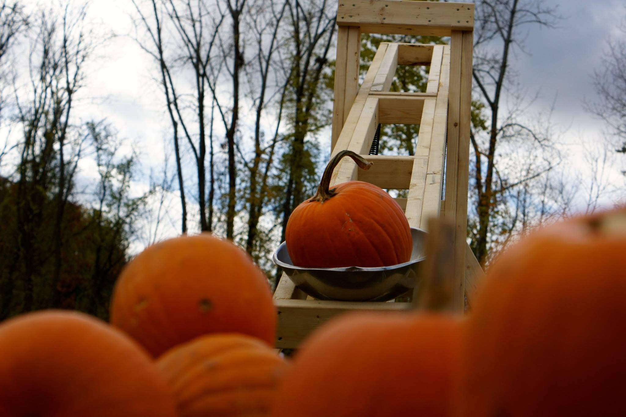 Flying Pumpkins, Medieval Mayhem and Family Fun: Pumpkin Chunkin Returns Flying Pumpkins, Medieval Mayhem and Family Fun: Pumpkin Chunkin Returns